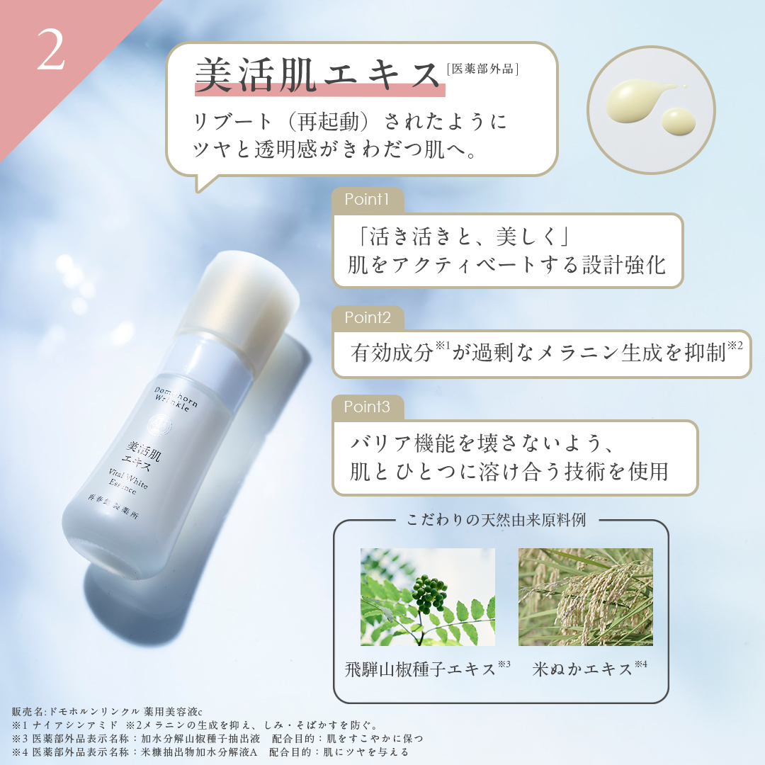 ドモホルンリンクル 基本4点セット 化粧水 美容液 クリーム 乳液 約60